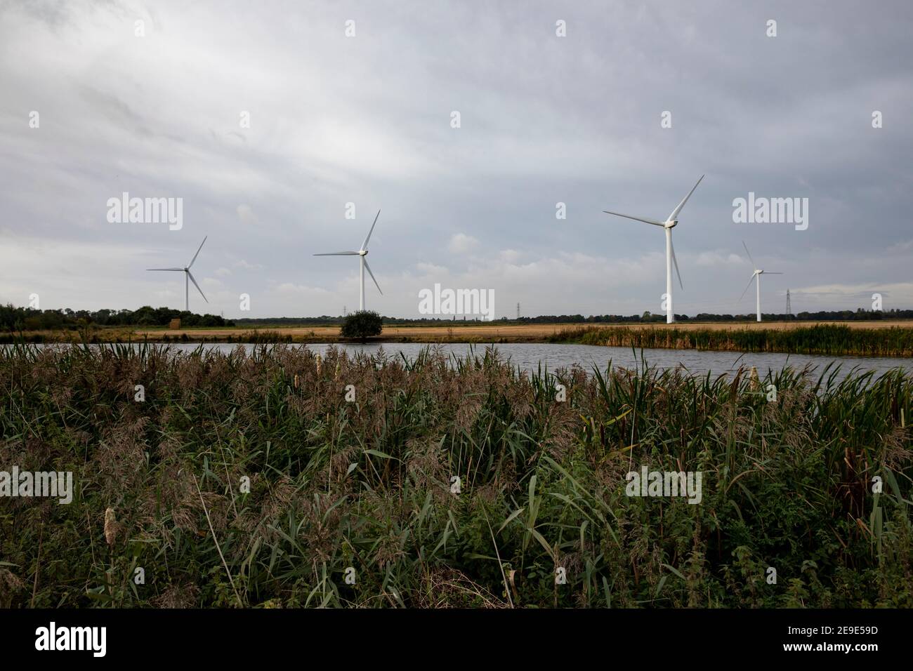 Turbine eoliche in riserve naturali nello Yorkshire Foto Stock