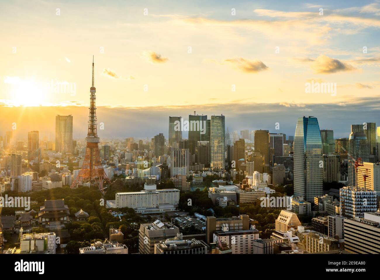 Vista aerea della città di Tokyo in Giappone al tramonto Foto Stock