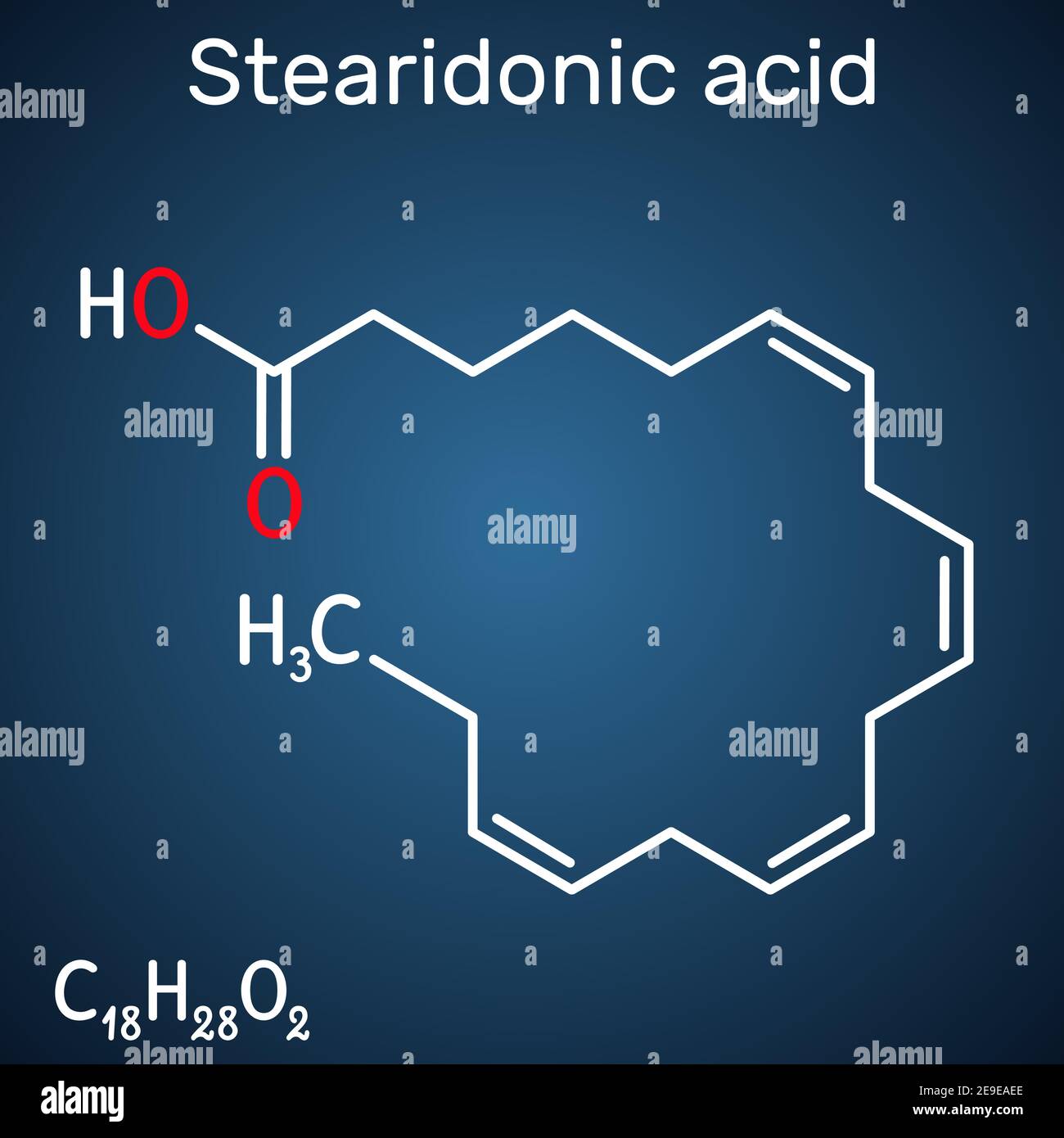 Acido stearidonico, acido morottico, molecola SDA. È un acido omega-3, grasso, ottadecatetraenoico. Formula chimica strutturale sul blu scuro Illustrazione Vettoriale