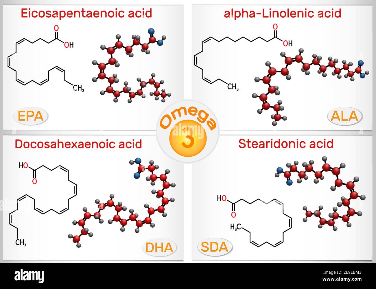 Omega-3, acidi grassi poliinsaturi. Acido eicosapentaenoico EPA , acido docosaesaenoico DHA , acido stearidonico SDA , acido alfa-linolenico ala Illustrazione Vettoriale