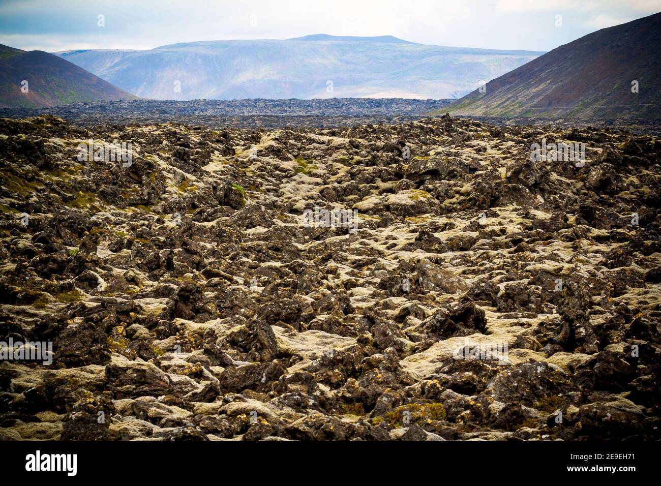 Paesaggio islandese, pietra vulcanica ricoperta di muschio. Islanda. Foto Stock
