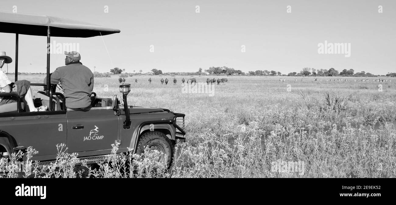Auf Safari mit dem 4x4 Fahrzeug (Landrover) in den Okavango Delta Sümpfen. Durante il safari con una Landrover 4x4 nelle paludi Okavango-Delta. Foto Stock