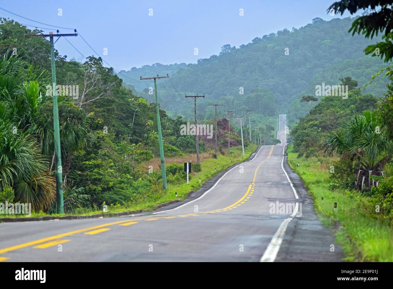 Route 174 / BR-174, autostrada federale che attraversa la foresta amazzonica / foresta pluviale / giungla nello stato brasiliano di Amazonas, Brasile Foto Stock