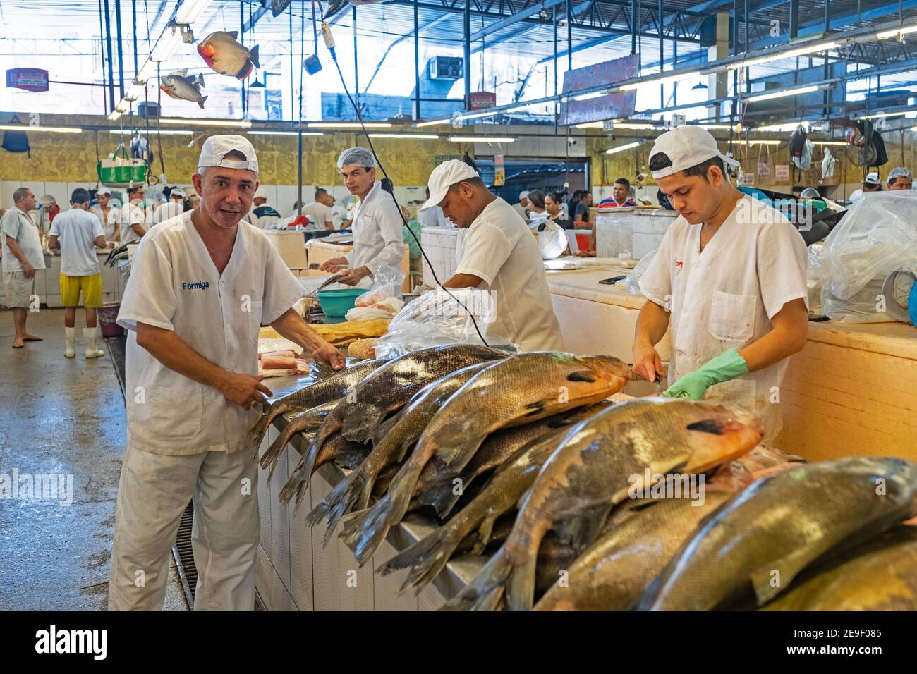 Pescivendoli pulizia pesci al mercato del pesce coperto nella capitale Manaus, Amazonas state, Brasile Foto Stock