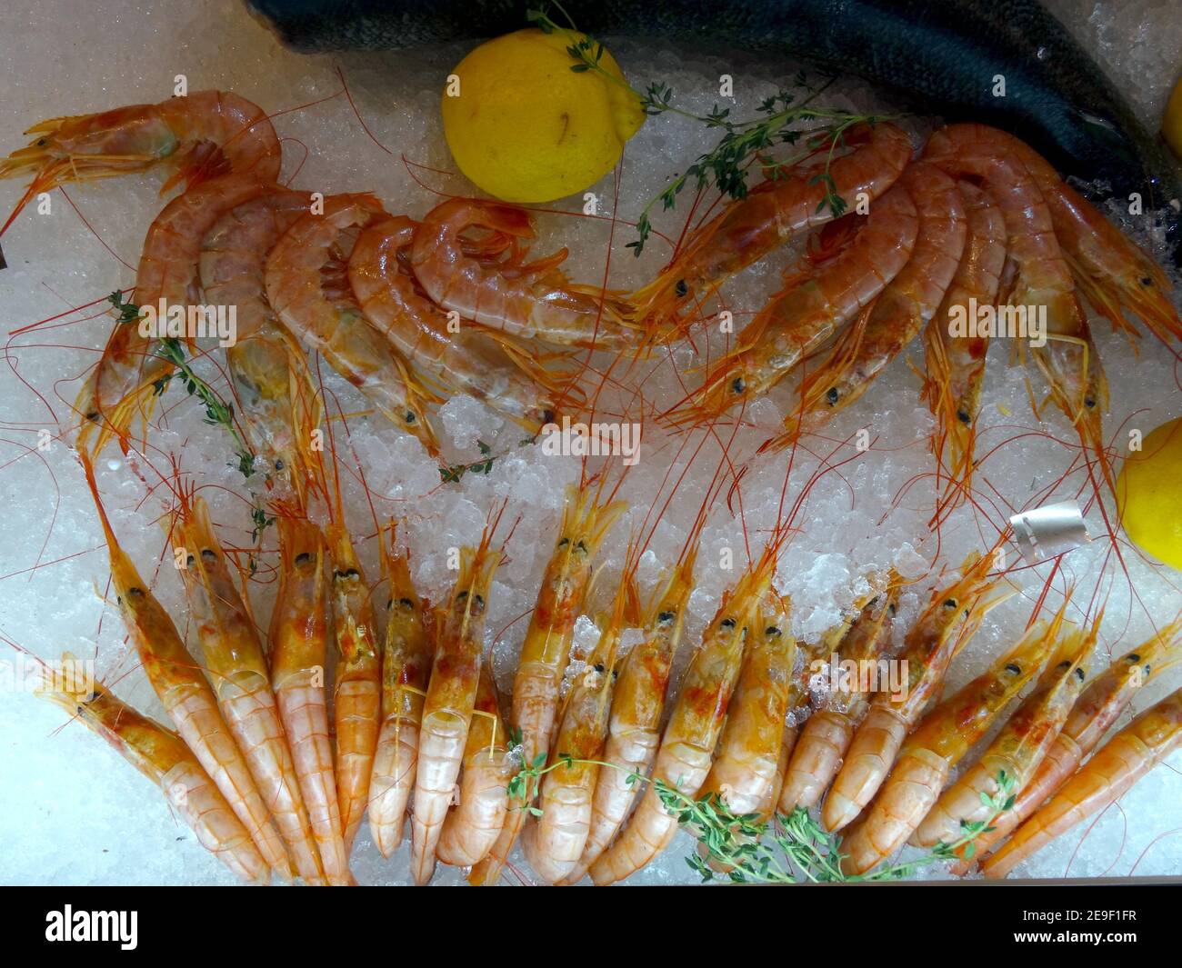 Shrimps fresco crudo su Ice Top View Foto Stock