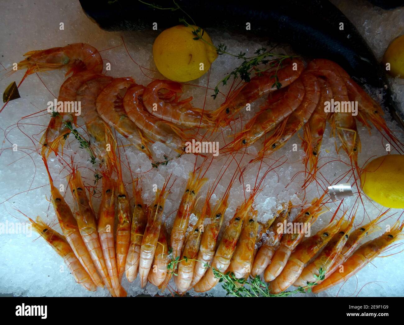 Gamberi e pesce serviti su ghiaccio tritato Foto Stock