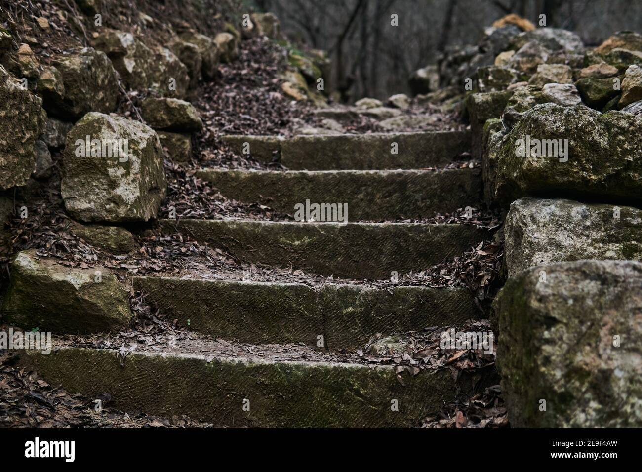 antico scalone in pietra naturale in un autunno cupo paesaggio esterno primo piano Foto Stock
