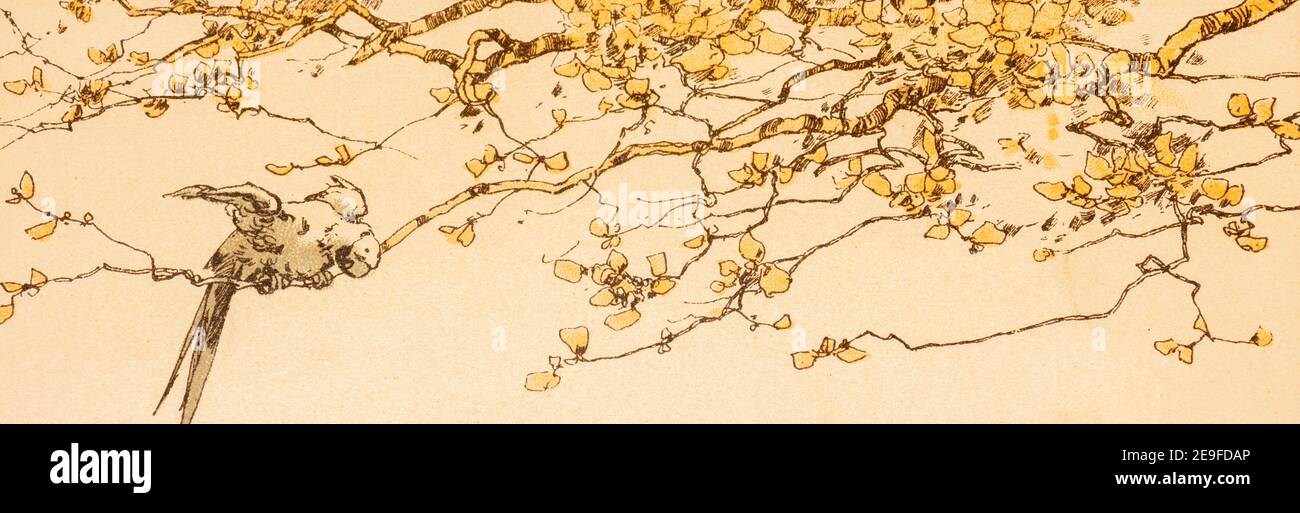 Tornato sulla sua isola, il pappagallo saluta Robinson, Robinson Crusoe, adottato da J. Lohmeyer, acquerelli di Carl Marr, Lipsia circa 1890 Foto Stock