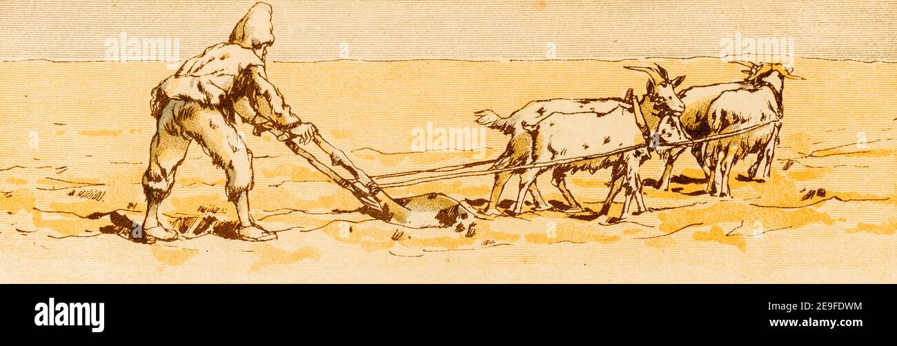 Robinson che arava un pezzo di terra con quattro capre come animali da tiro, Robinson Crusoe, adottato da Lohmeyer, acquerelli da Carl Marr, Lipsia 1890 Foto Stock