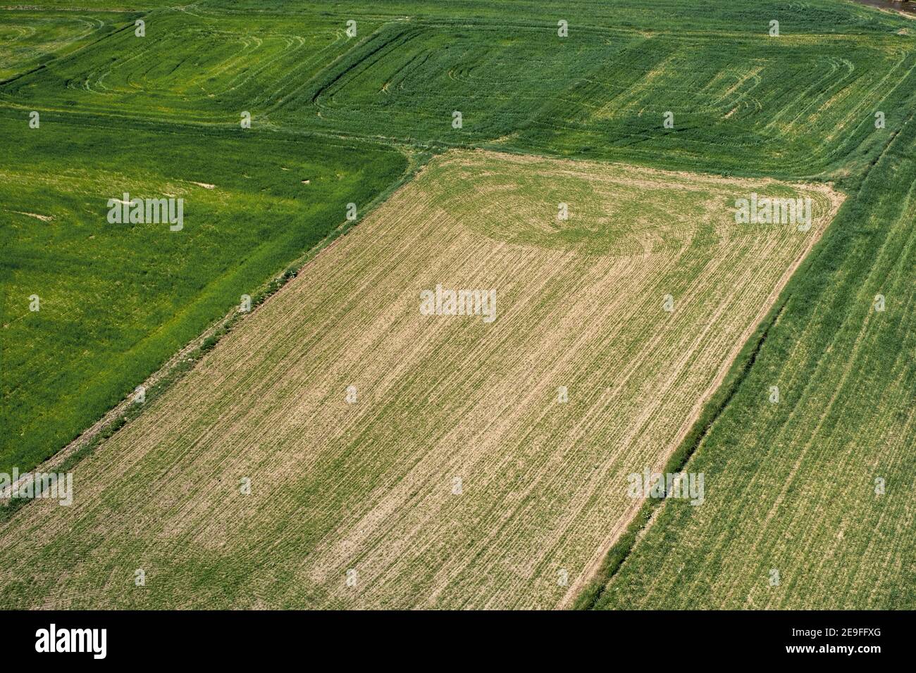 Vista del campo agricolo, agricoltura efficiente di colture biologiche . Terreni agricoli Foto Stock