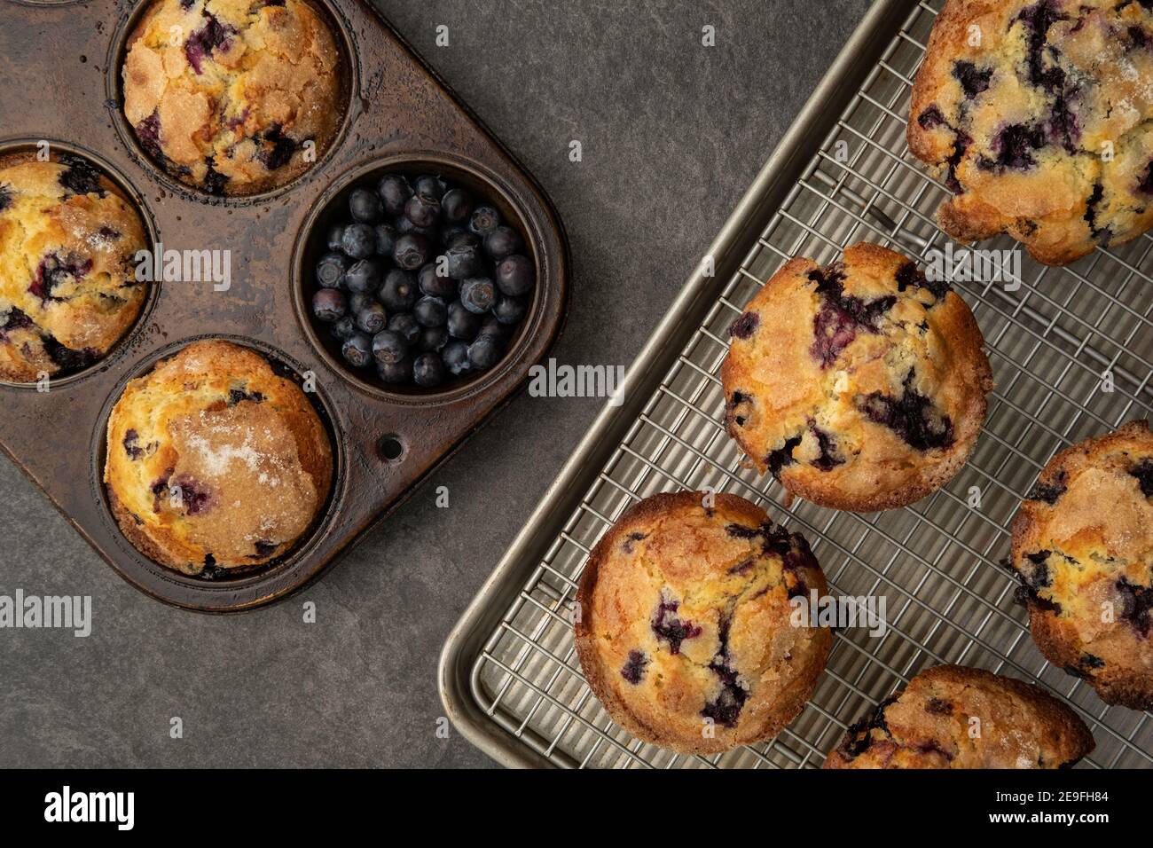 Muffin al mirtillo freschi fuori dal forno e rinfrescati il contatore Foto Stock