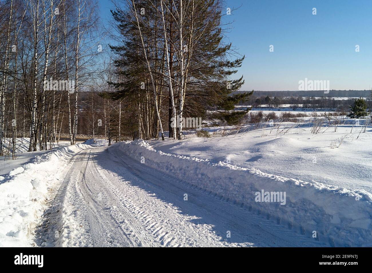 Il paesaggio invernale con costoso in legno a giorno solare. Belle birche su sfondo cielo blu Foto Stock