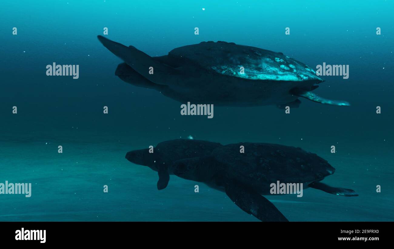 Tre belle tartarughe Nuoto sotto blu Ocean Water.3D rendering. 4 Foto Stock