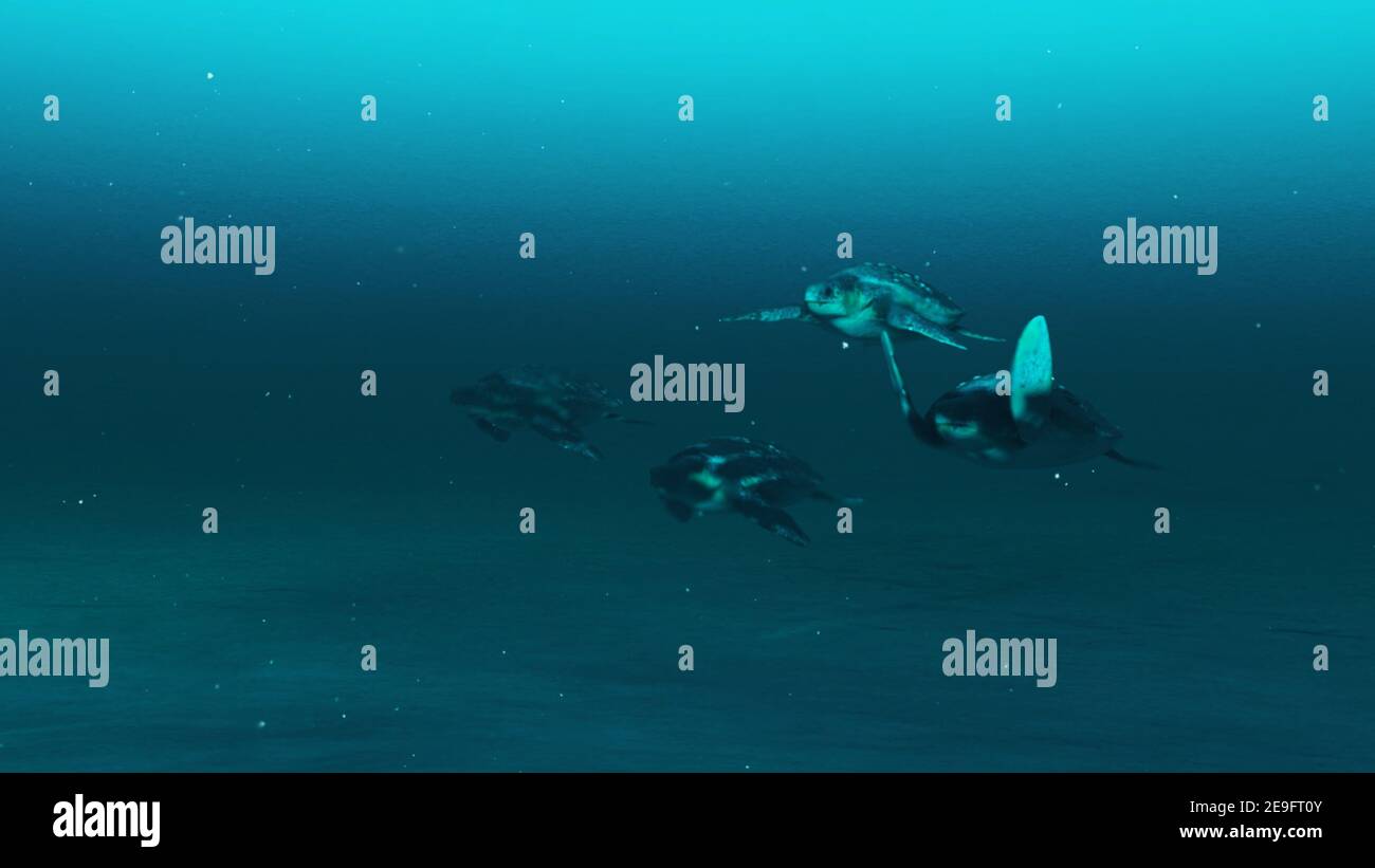 Vista in primo piano delle belle tartarughe sotto l'oceano blu. Animali vita subacquea, rendering 3D Foto Stock