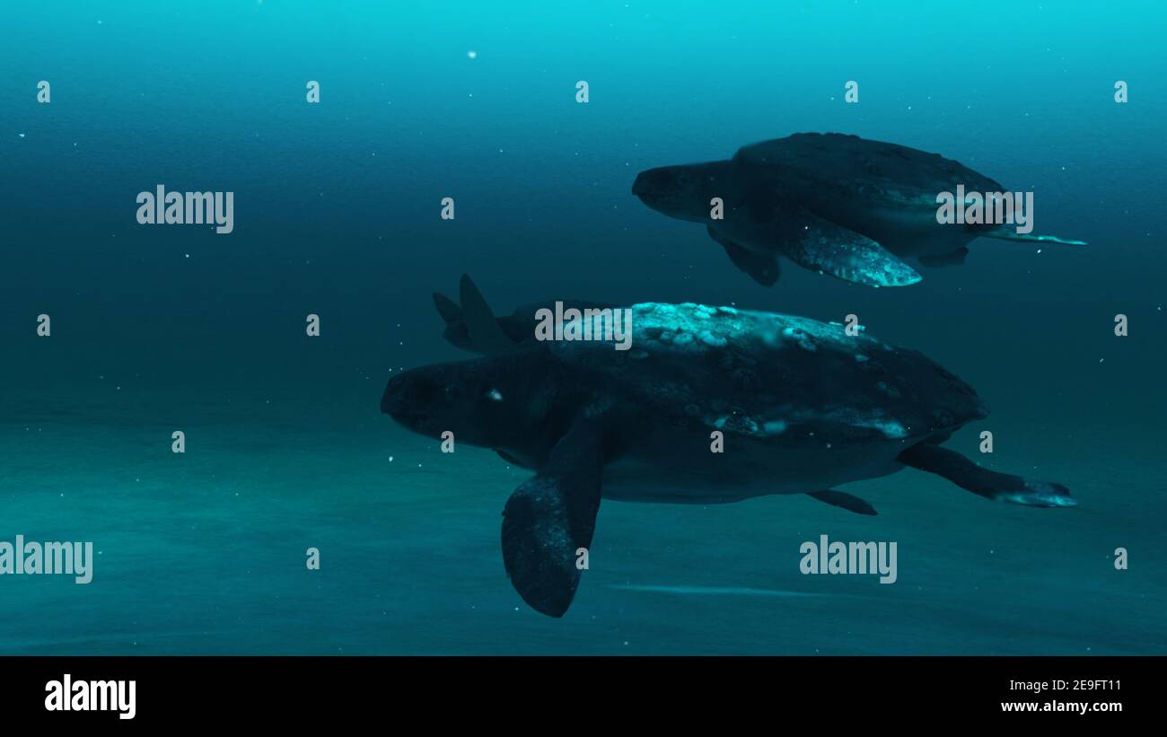 Belle tartarughe Nuoto sotto blu Ocean Water.3D rendering. Foto Stock