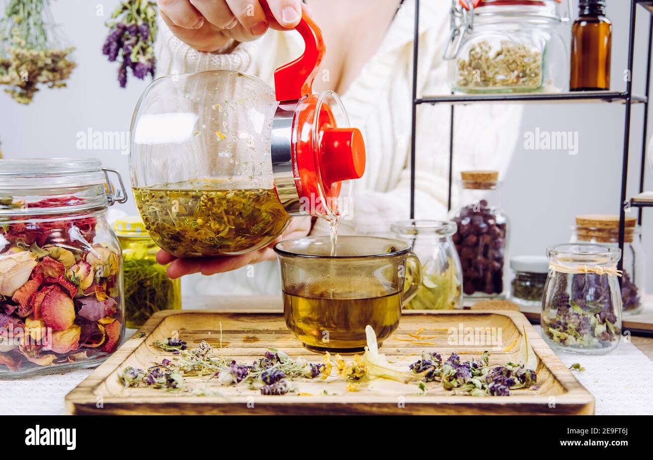 Vista ravvicinata delle mani erboriste della donna che versano il tè della medicina tradizionale nella tazza da tè. Erbe secche in vasi di vetro su sfondo. Foto Stock