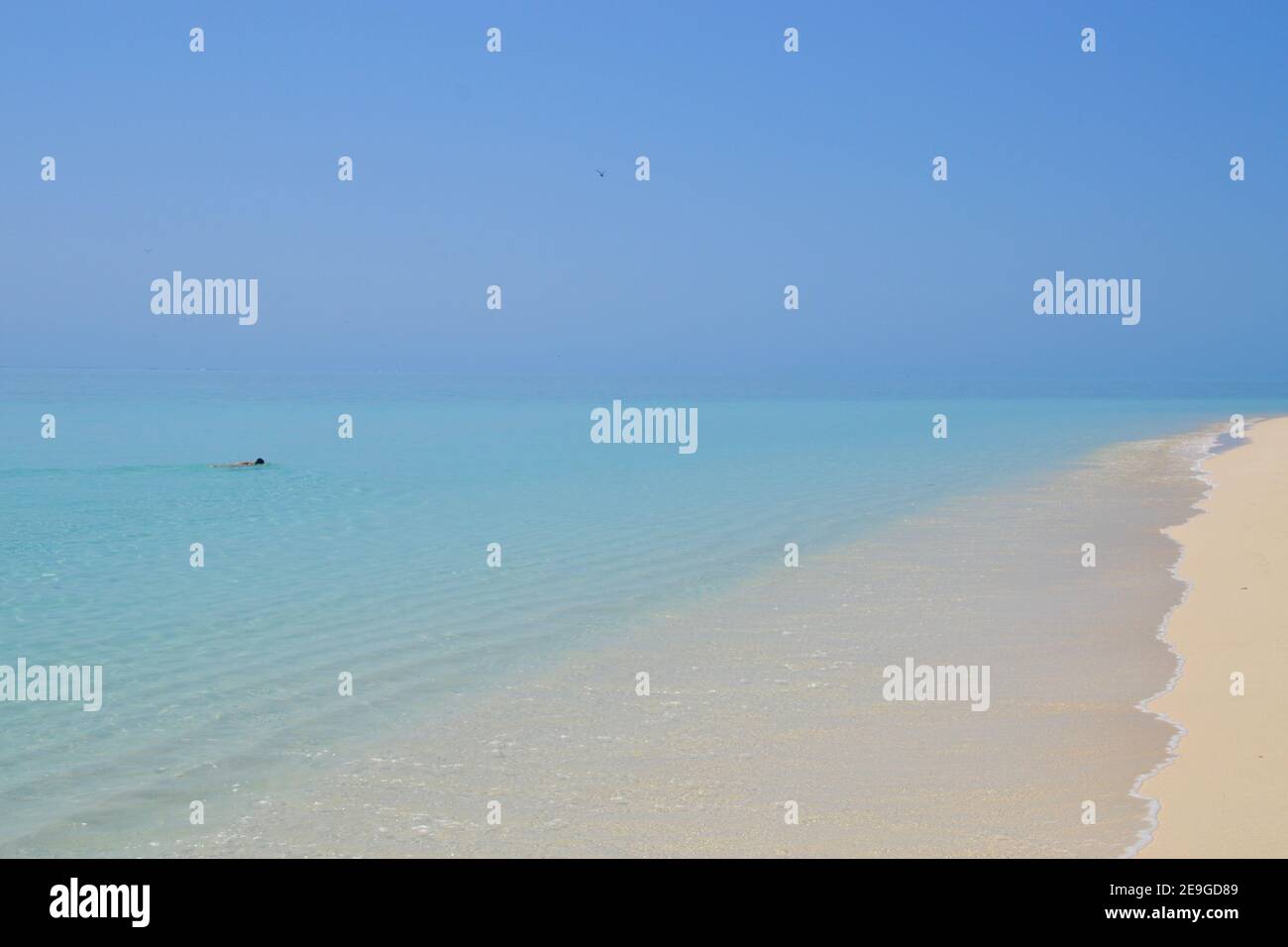 Nuotatore con lone in acque cristalline e incontaminate su un appartamento Giornata tranquilla sulla Grande barriera Corallina a Heron Island In Australia Foto Stock