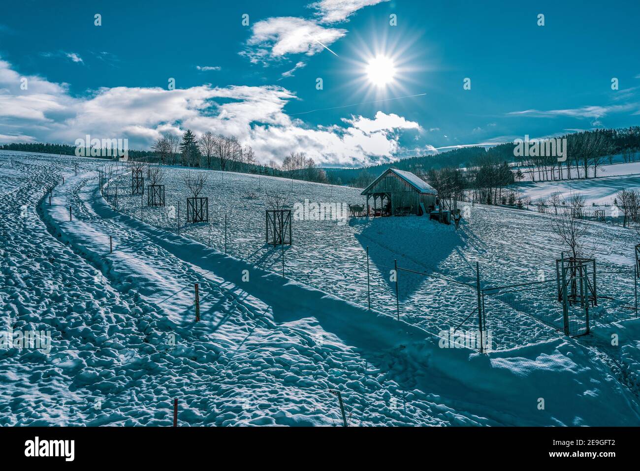 Selvaggina agricola che tiene in inverno. Foto Stock