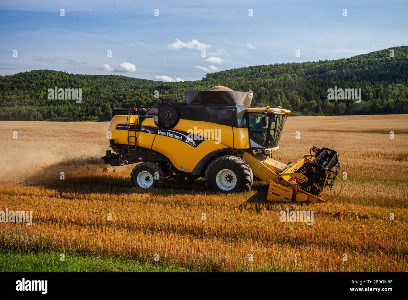 8 agosto 2016 Frenchville Maine, USA - Farmer che utilizza una mietitrebbia New Holland per raccogliere l'avena Foto Stock