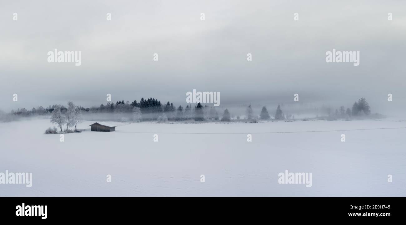 Panorama di bel paesaggio invernale foggy con alberi congelati e. casa di legno Foto Stock