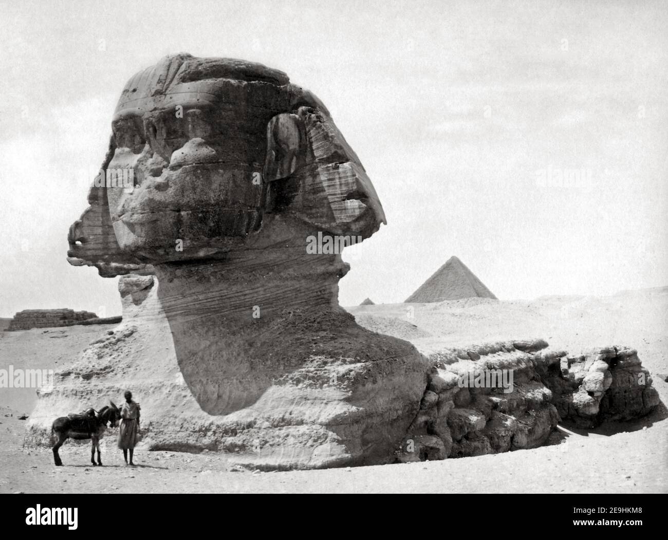 Foto tardo 19 ° secolo - Sphinx Egitto, circa 1800's. Foto Stock