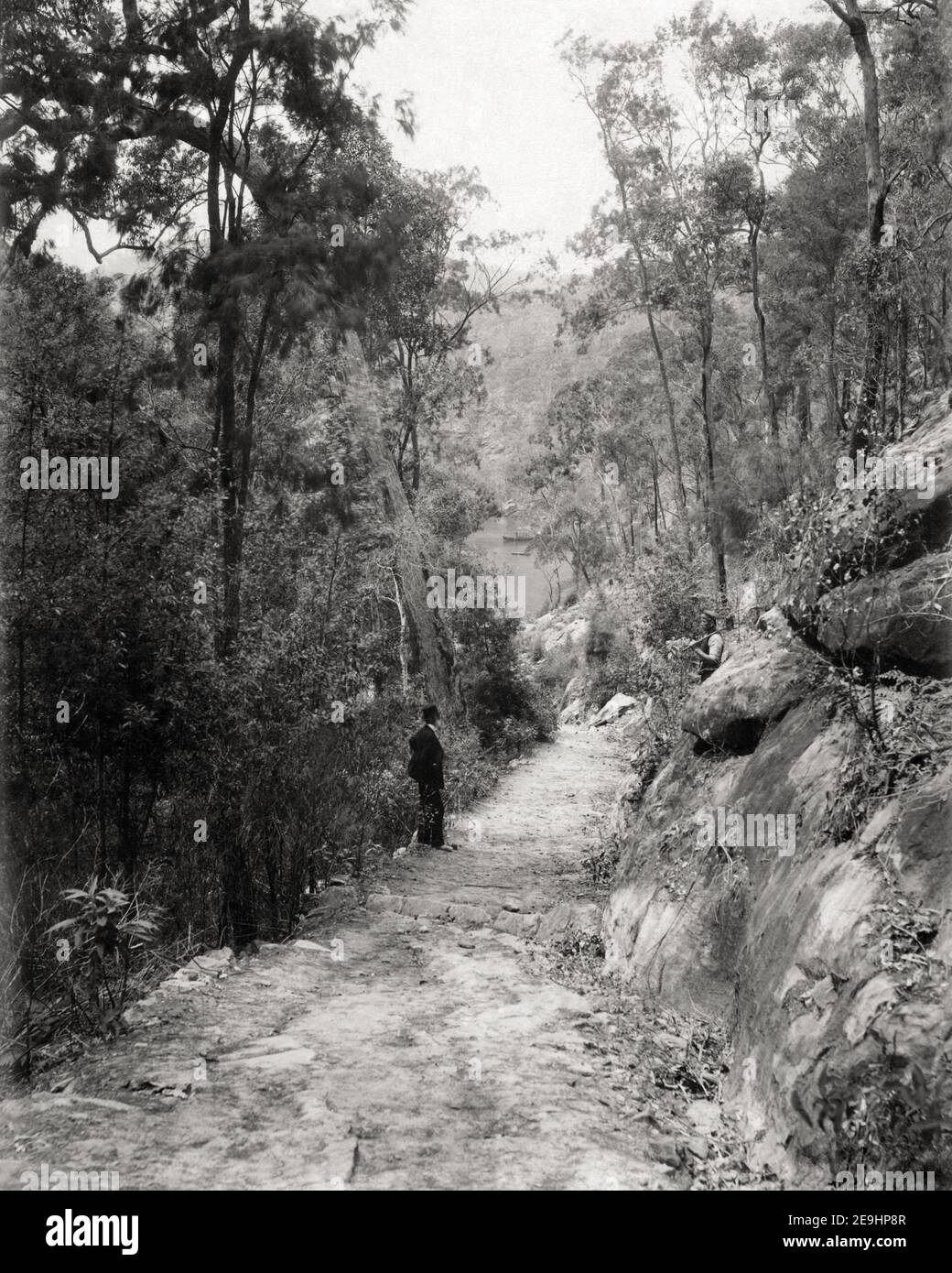 Foto di fine XIX secolo/1900 - Kuring-Gai Chase, Berowra, NSW, Australia Foto Stock