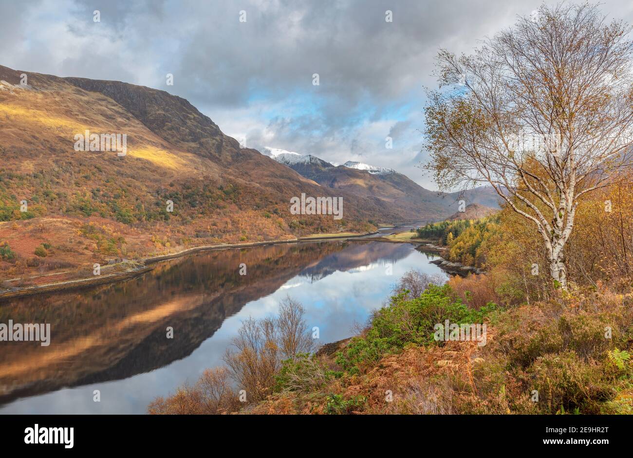 Glencoe, Scozia: Betulla e caduta sottobosco lungo il Loch Leven con riflessi di montagna Foto Stock