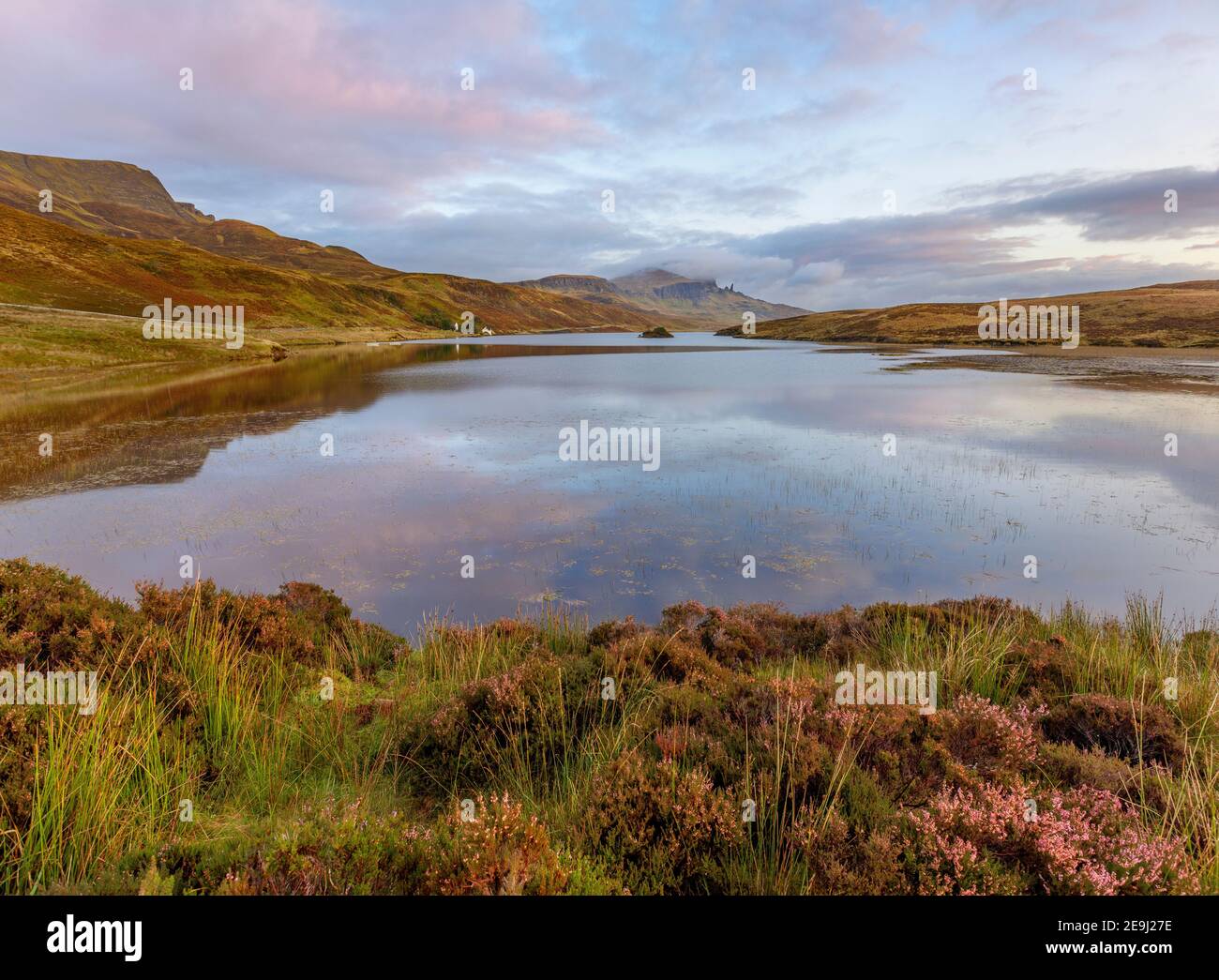 Isola di Skye, Scozia: Luce dell'alba e nuvole che si riflettono in Loch Fada con la fioritura di erica sulla costa e l'iconico Old Man of Storr in th Foto Stock