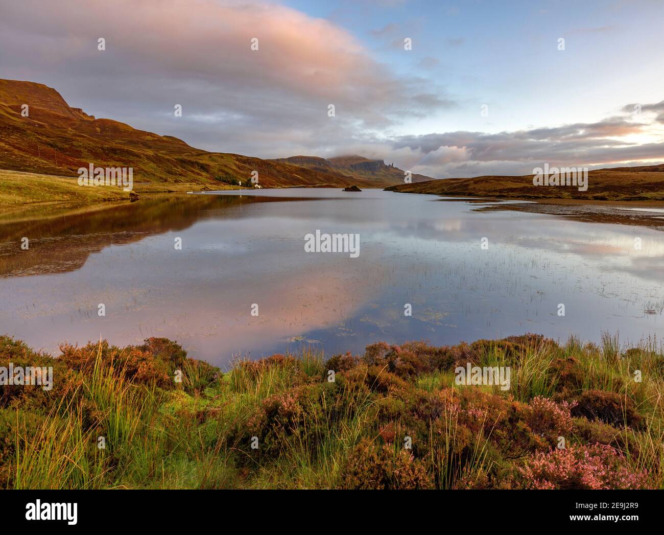 Isola di Skye, Scozia: Luce dell'alba e nuvole che si riflettono in Loch Fada con la fioritura di erica sulla costa e l'iconico Old Man of Storr in th Foto Stock