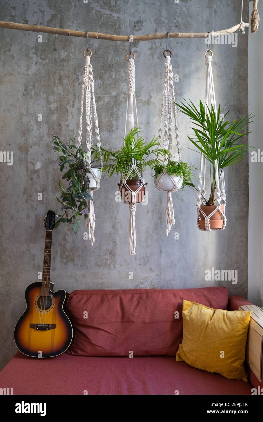 Gruccia di piante di macrame fatta a mano appesa al ramo di legno, chitarra  acustica sul divano rosso in una casa accogliente Foto stock - Alamy