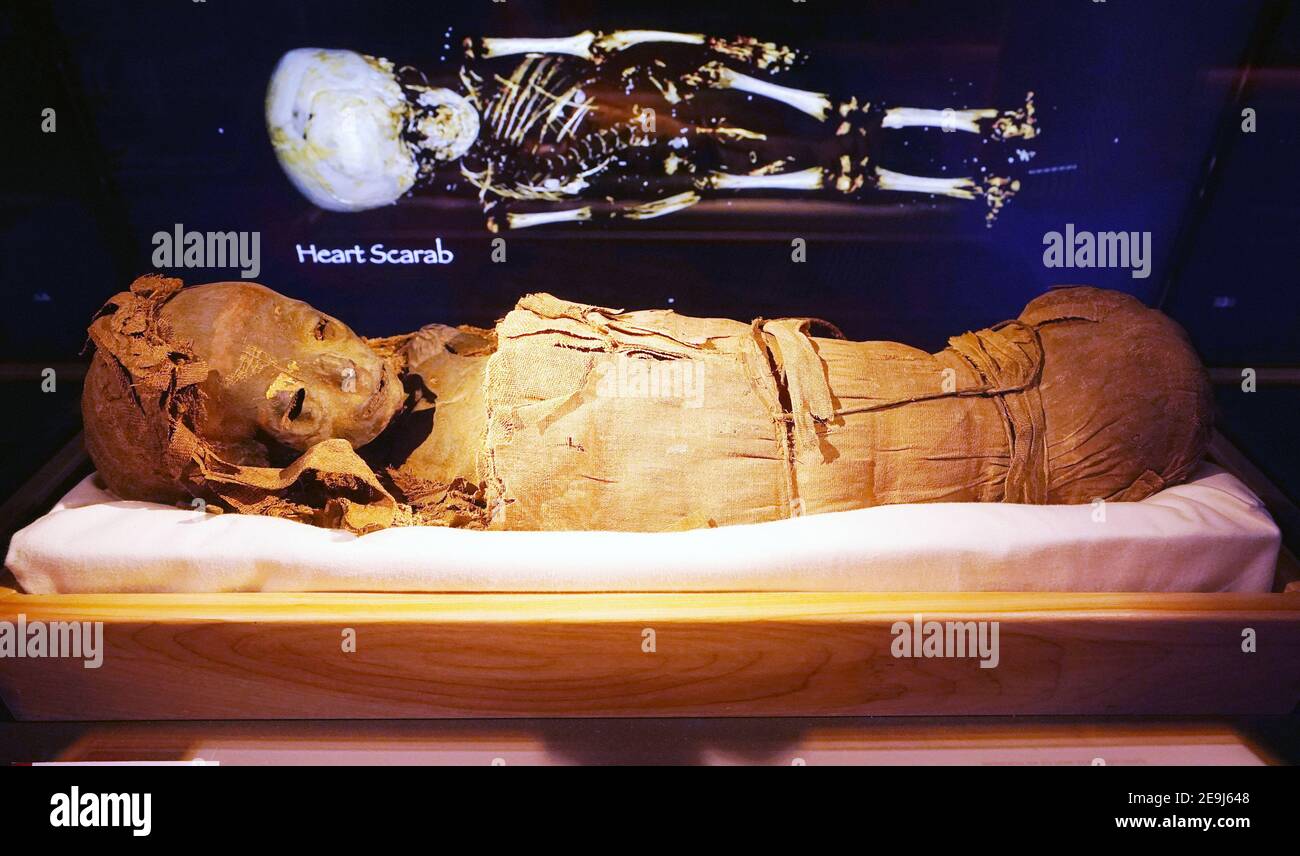 St. Louis, Stati Uniti. 04Feb 2021. Una mummia per bambini che ha vissuto più di 2000 anni fa fa fa fa fa fa fa fa fa fa fa fa fa fa fa fa parte di una mostra presso il Mummies of the World Exhibition presso il St. Louis Science Center di St. Louis giovedì 4 febbraio 2021. La mostra presenta 40 mummie umane e animali reali e 85 manufatti rari provenienti da tutto il mondo, fornendo una finestra sulla vita di persone provenienti da ogni regione del mondo. Photo by Bill Greenblatt /UPI Credit: UPI/Alamy Live News Foto Stock