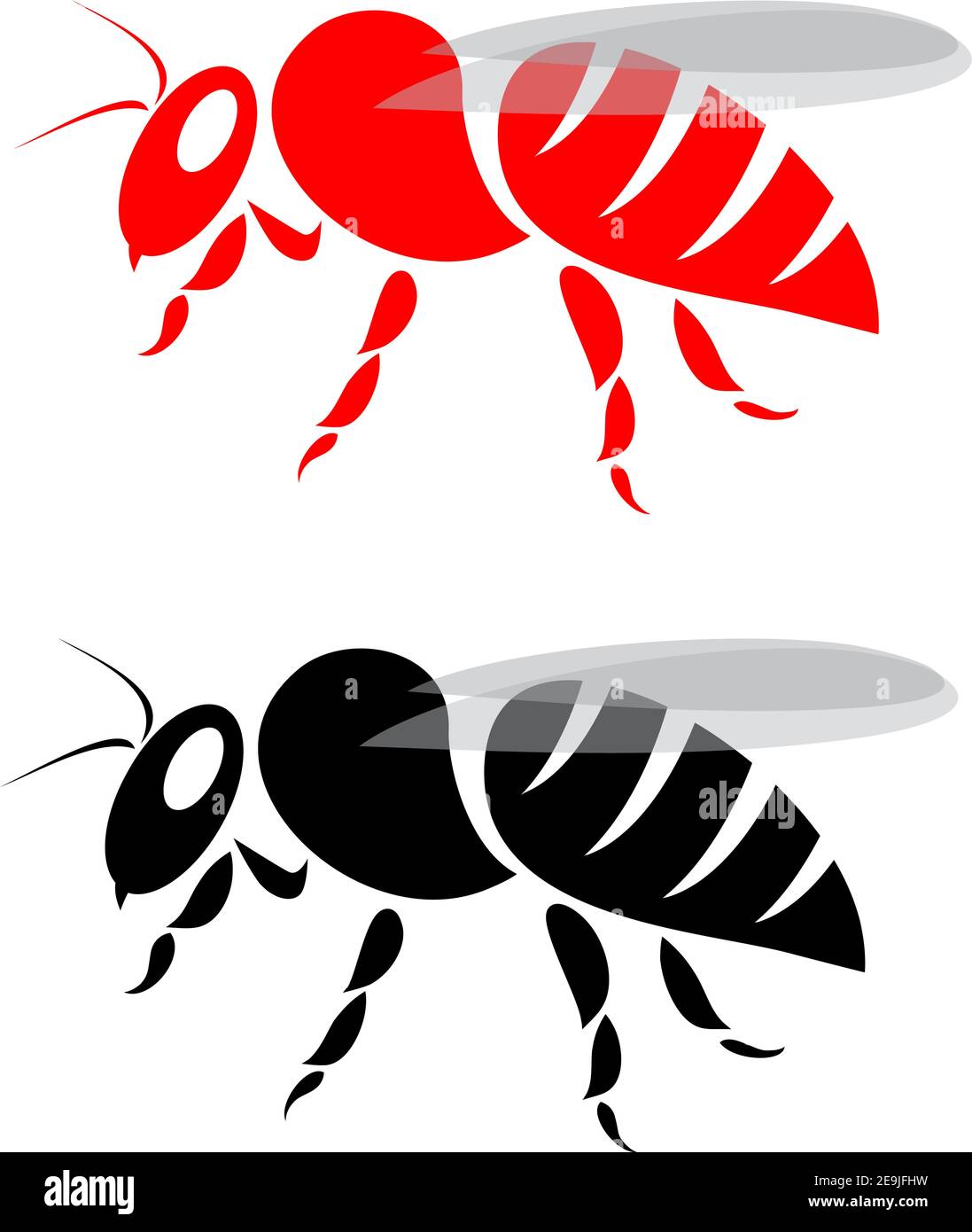 Immagine vettoriale di un'api su sfondo bianco Illustrazione Vettoriale