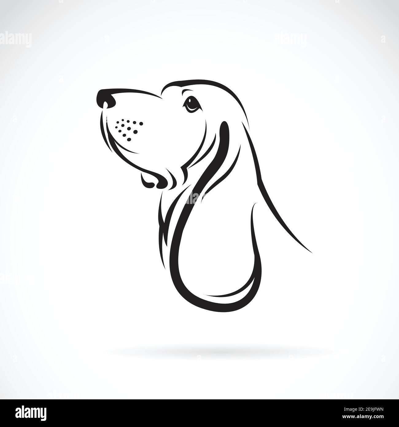 Immagine vettoriale di una testa di un hound di basset su sfondo bianco. Illustrazione vettoriale a livelli facilmente modificabile. Animali. PET. Illustrazione Vettoriale