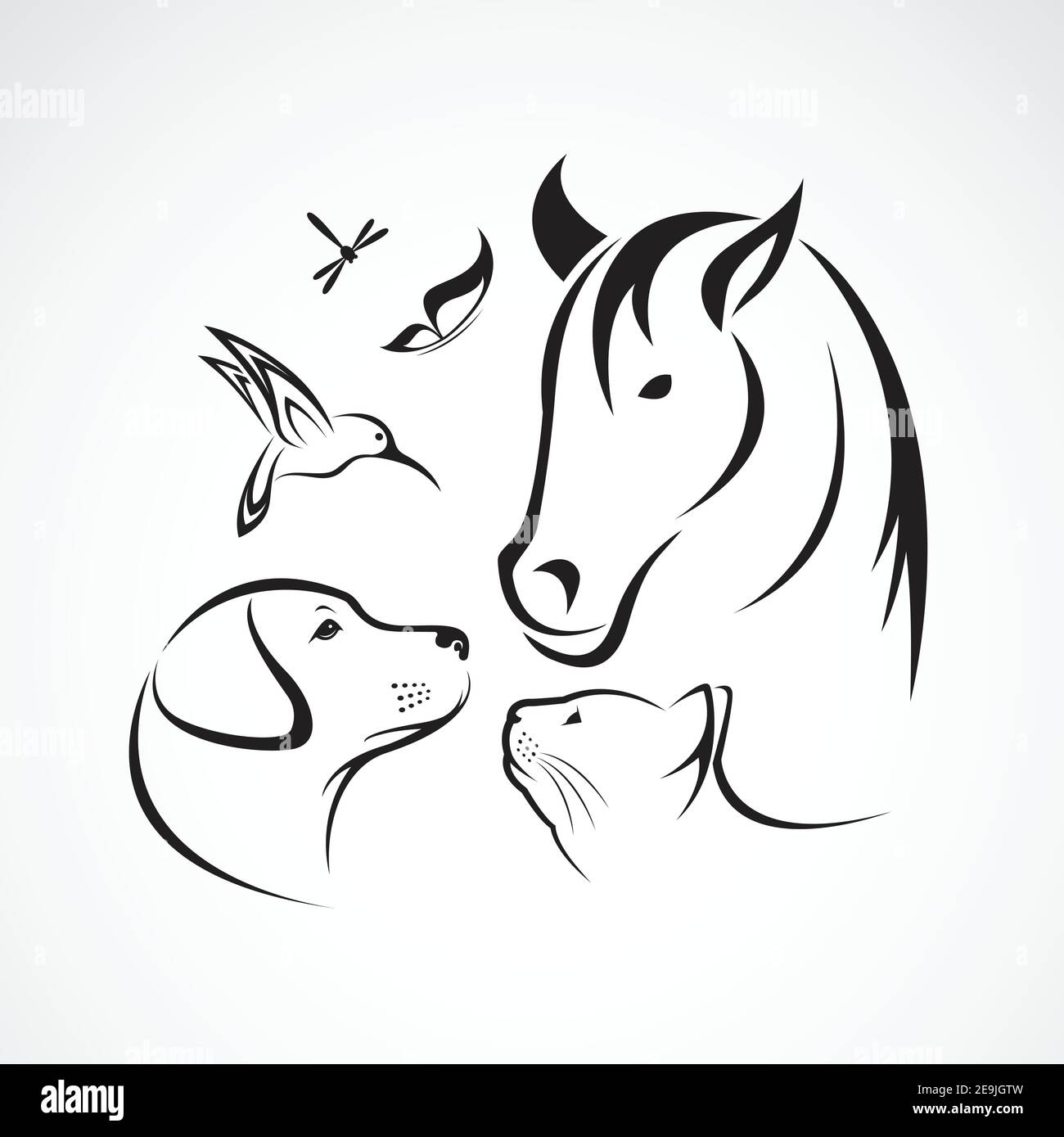 Vettore gruppo di animali domestici - Cavallo, cane, gatto, uccello, farfalla, libellula isolato su sfondo bianco. Illustrazione vettoriale a livelli facilmente modificabile. Illustrazione Vettoriale