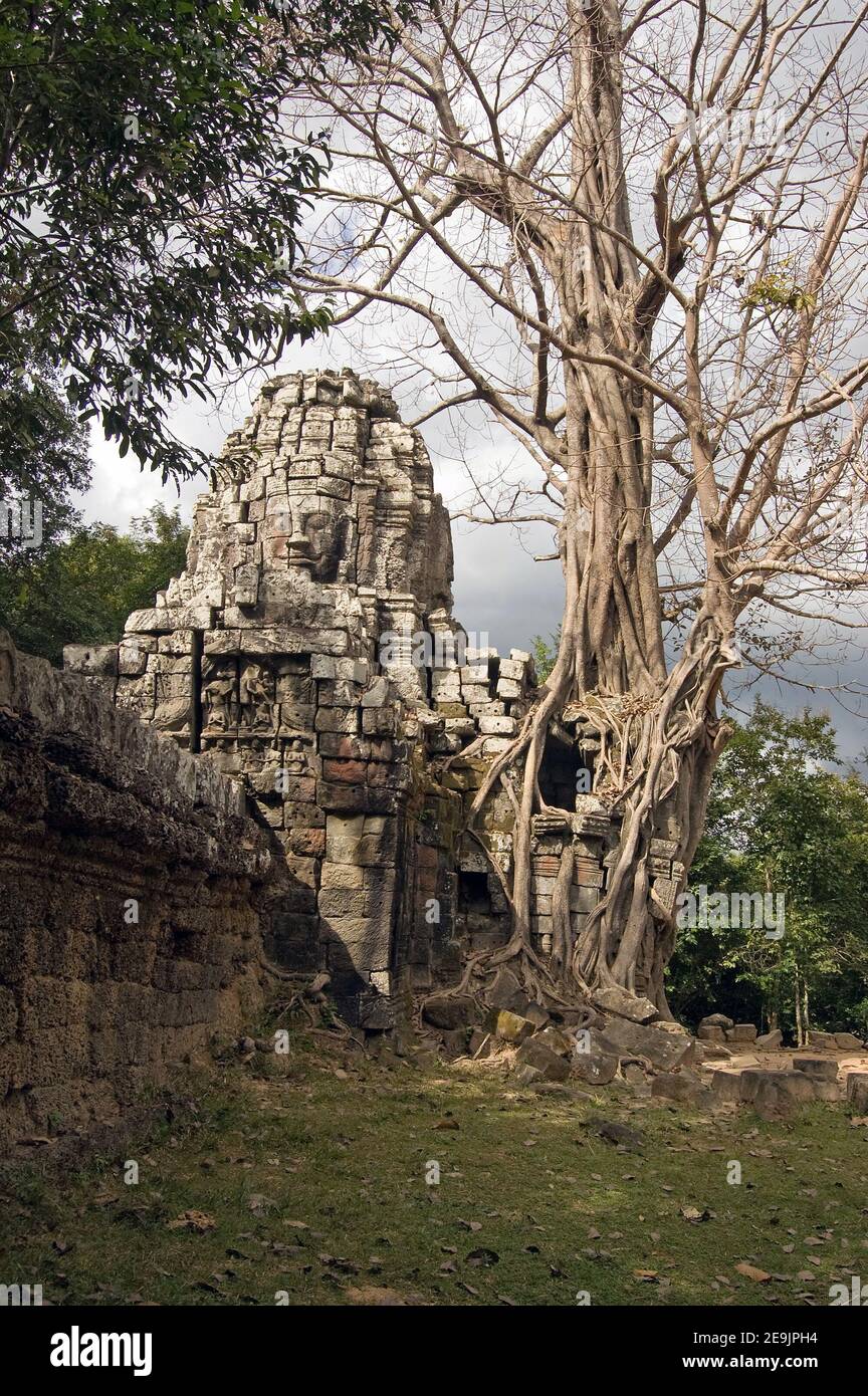 Le rovine surcresciute dell'antico tempio Khmer di Ta Som, parte di Angkor, Cambogia. La faccia di Lokeshvara è minacciata da un albero moderno. Antico Foto Stock