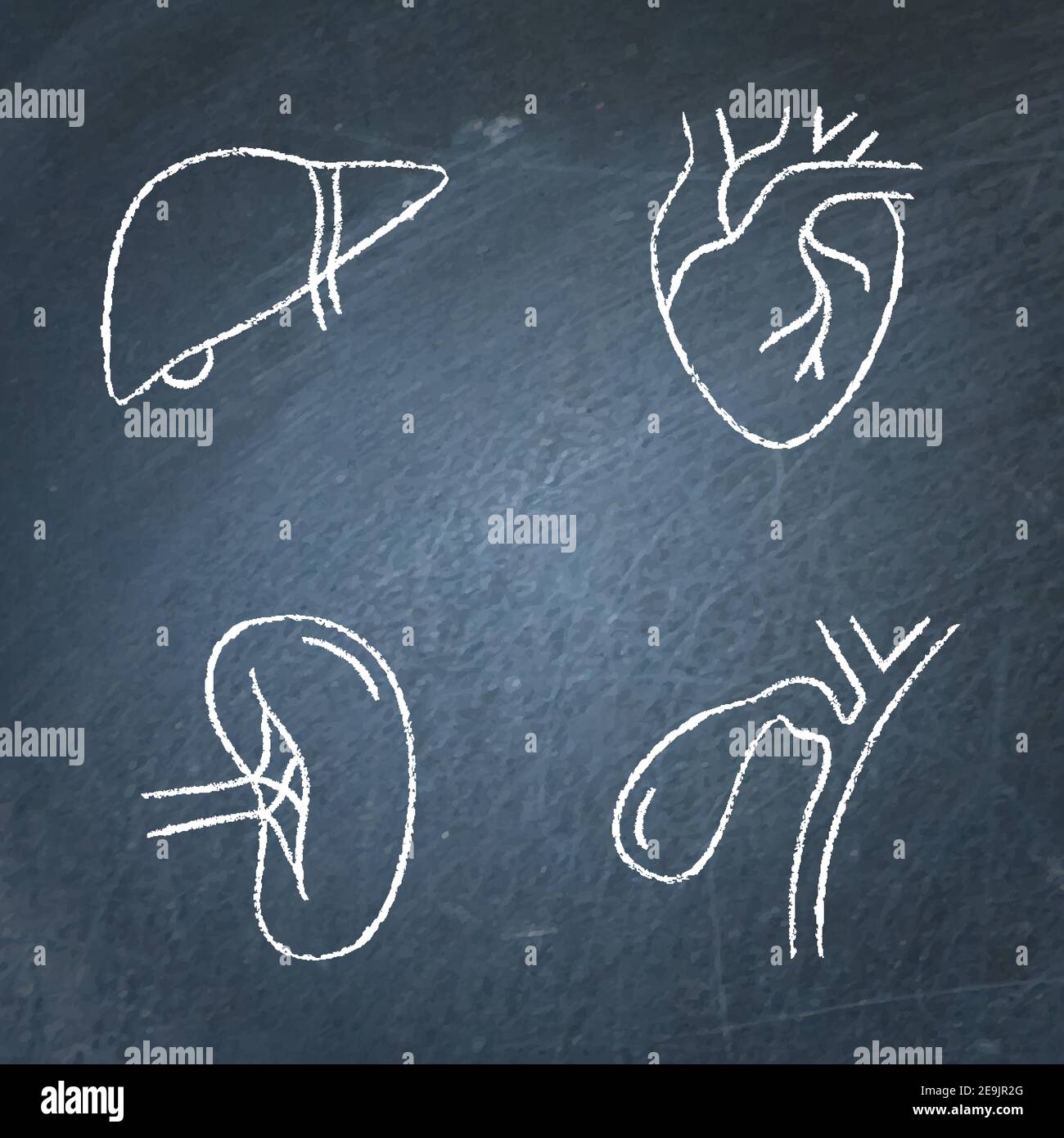 Schema di icone organi interni umani impostato sulla lavagna. Simboli del cuore, del fegato, della milza e della cistifellea. Illustrazione vettoriale. Illustrazione Vettoriale