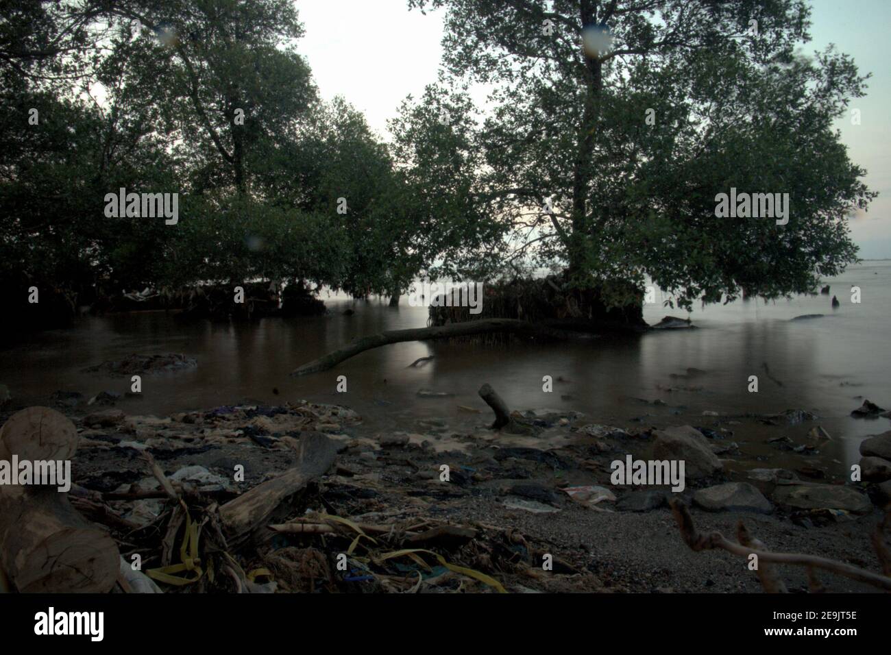 Alberi di mangrovie sull'altra parte della spiaggia di Pantai Indah Kapuk, vicino ad un complesso residenziale nella zona costiera di Giacarta, Indonesia. Foto Stock