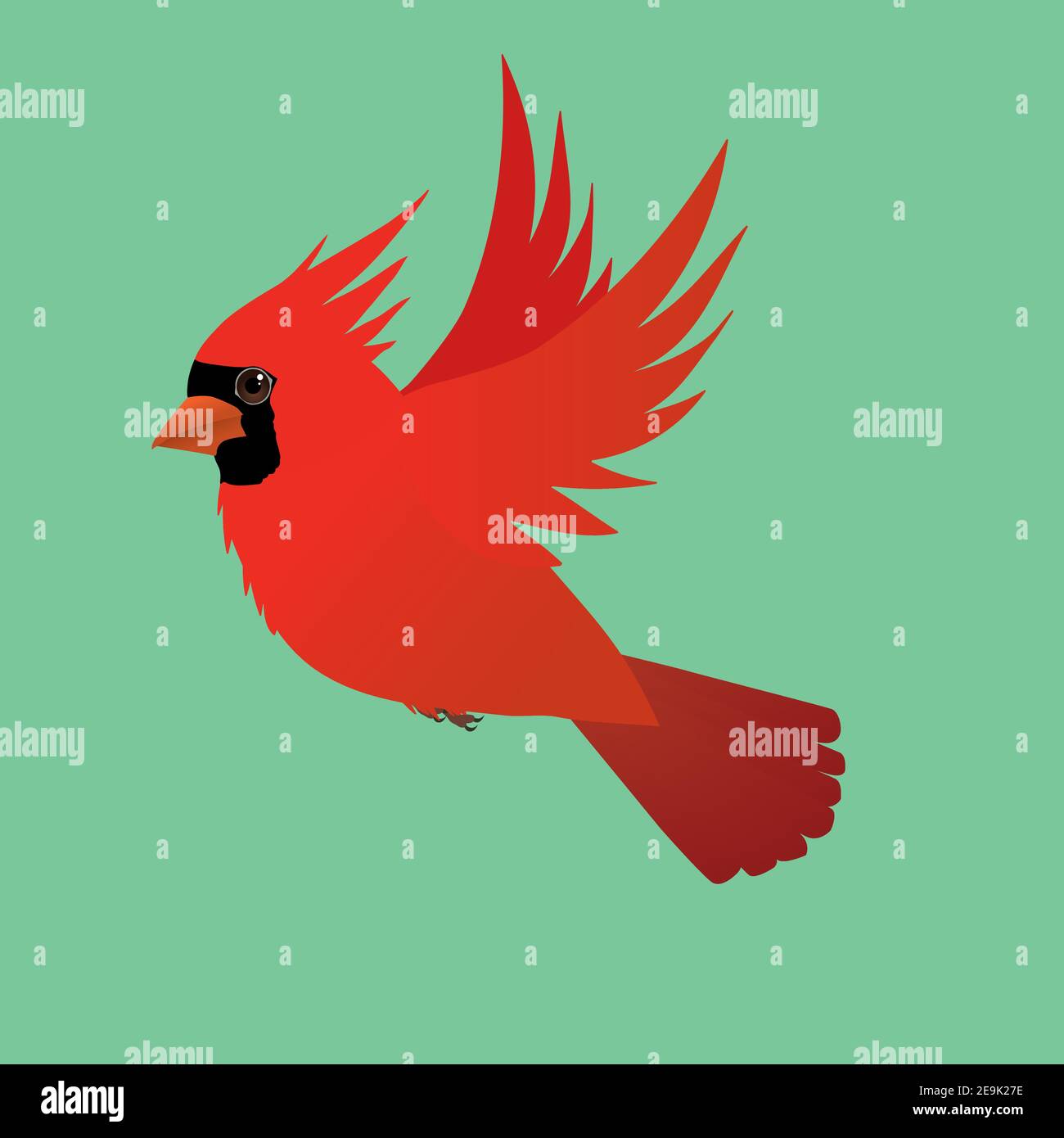 Un uccello cardinale del Nord che vola su uno sfondo verde Illustrazione Vettoriale