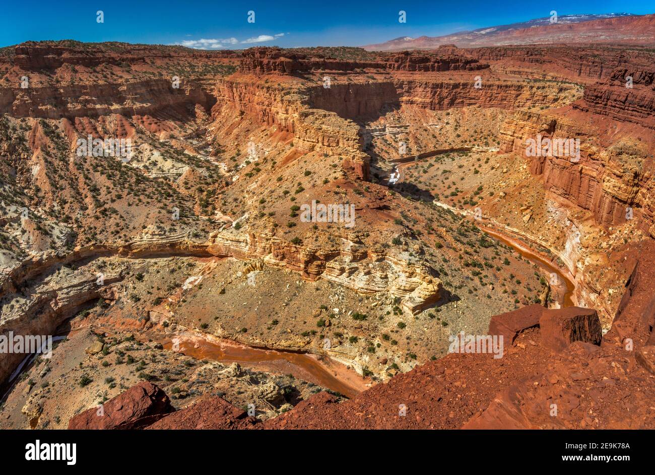 Snodi si affacciano, meandri del torrente di zolfo, il Parco nazionale di Capitol Reef, Colorado Plateau, Utah, Stati Uniti d'America Foto Stock