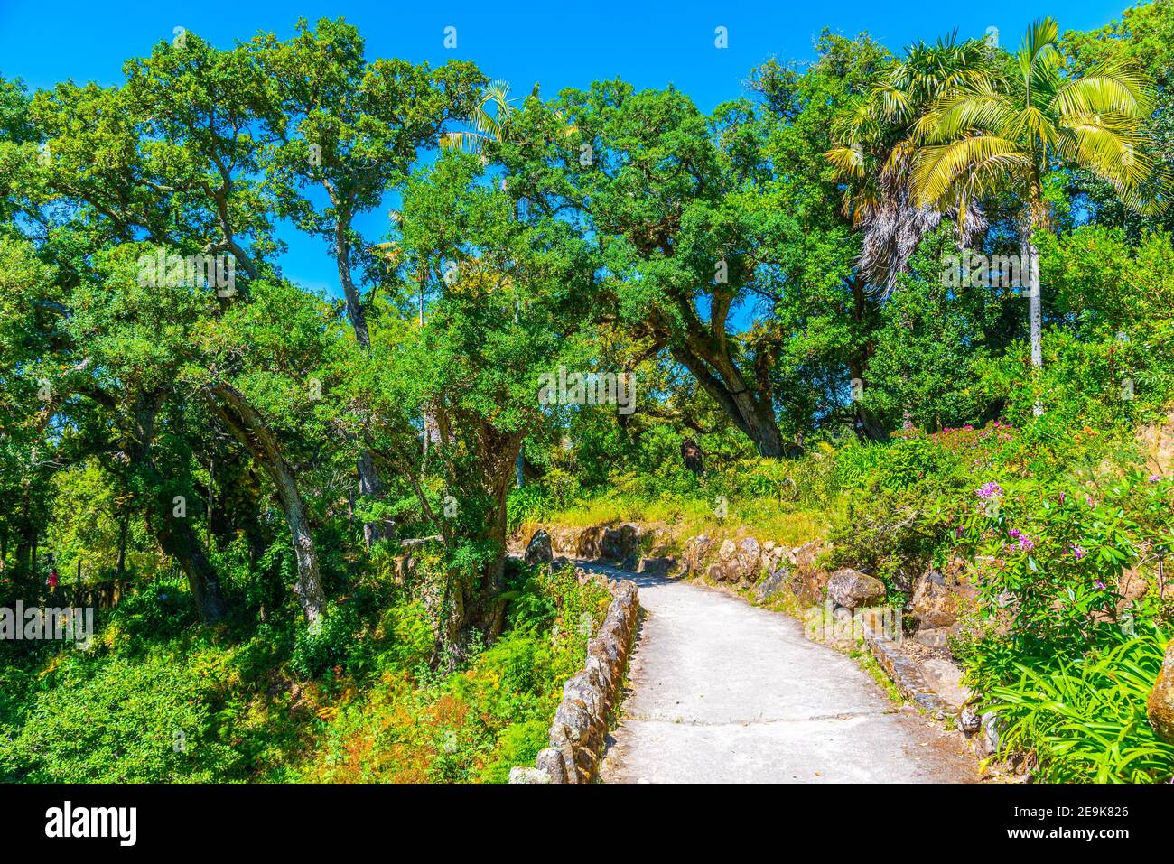 Giardini ai terreni del Palazzo di Monserrate a Sintra, Portogallo Foto Stock