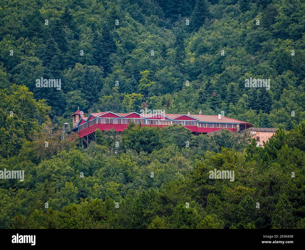 L'Arca di Noè e il diluvio Verde. Il monastero di Agios Georgios sembra navigare come un'arca dipinta di rosso nella verde inondazione di pini. Foto Stock