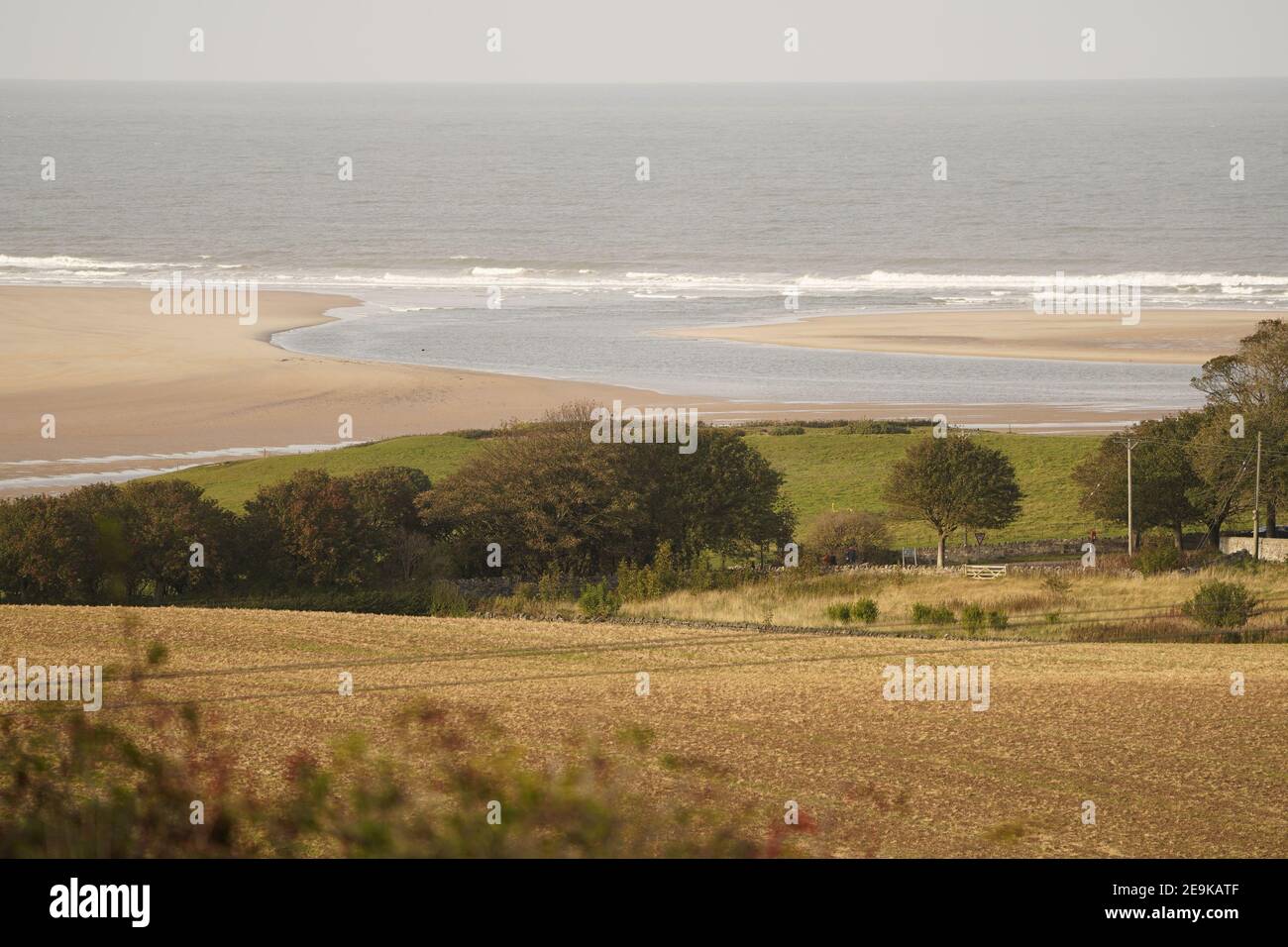 produzione alimentare di terreni agricoli in prossimità della costa selvaggia, selvaggina e gestita sostenibilità Foto Stock