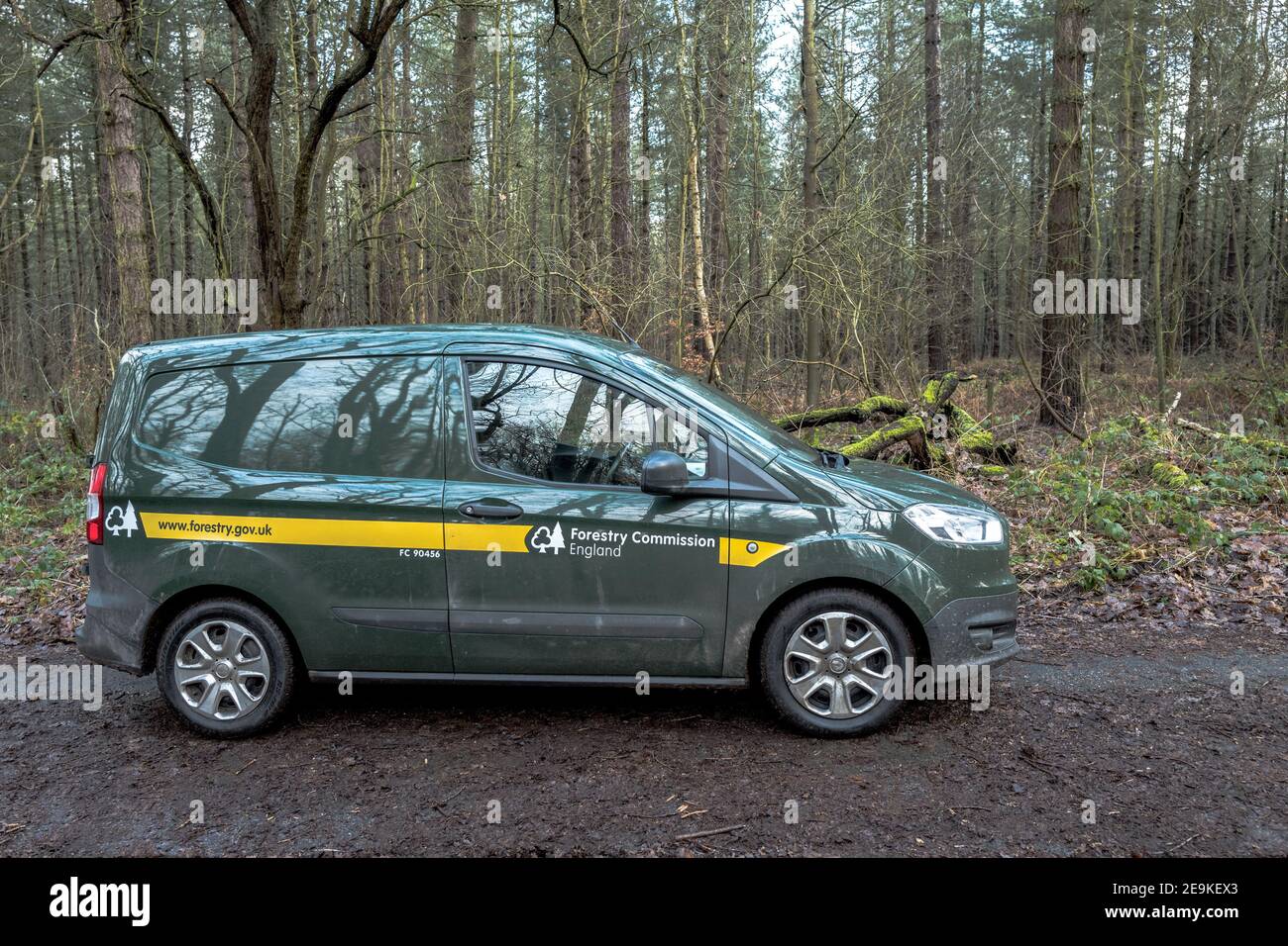 Forestry commission Ford Transit Courier van parcheggiato su una pista boschiva. Foto Stock