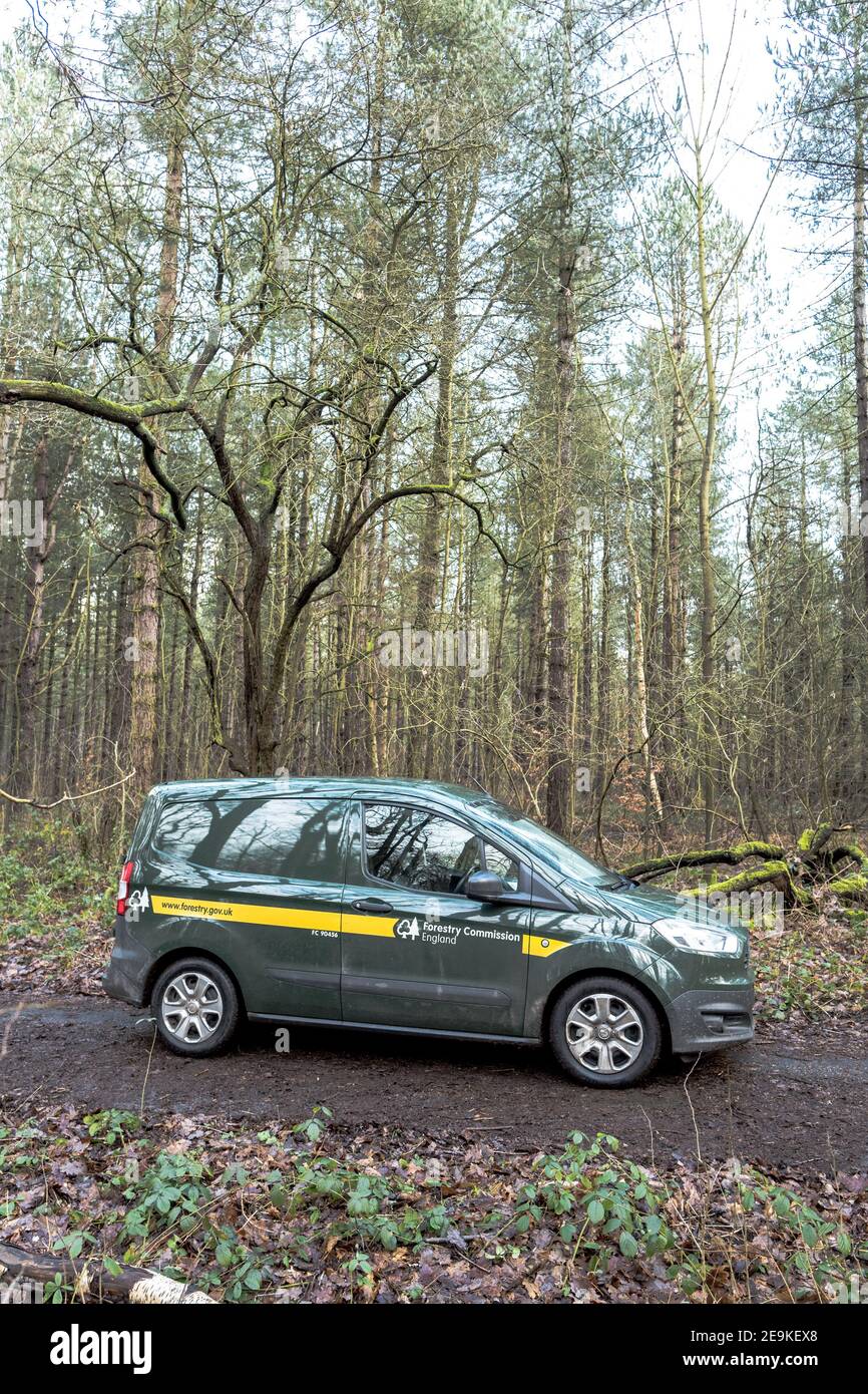 Forestry commission Ford Transit Courier van parcheggiato su una pista boschiva. Foto Stock