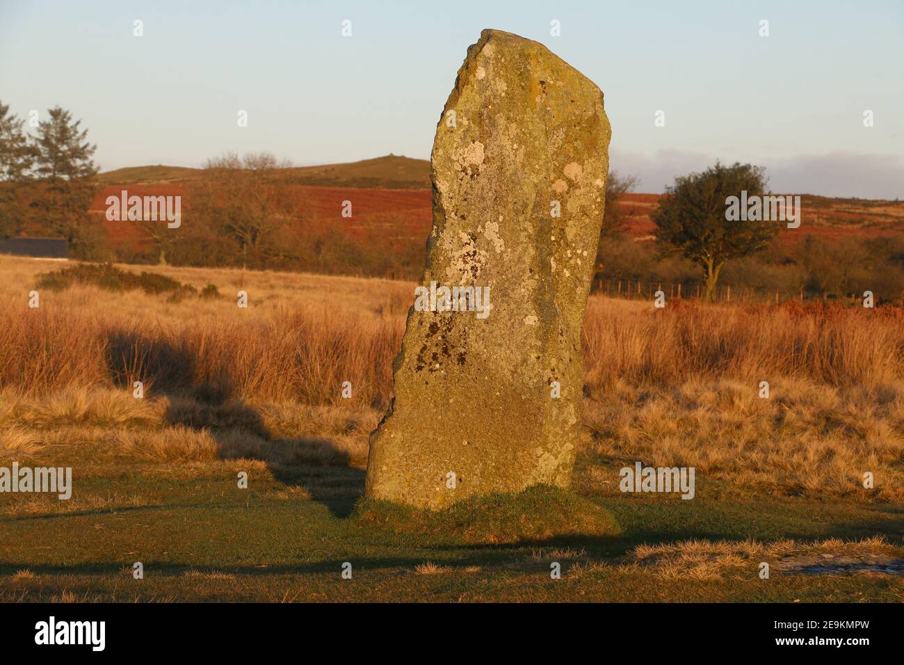 Antica pietra in piedi al circolo di pietre dell’età del bronzo di Mitchell, Stapeley Hill, Shropshire, Regno Unito, alla luce della sera Foto Stock