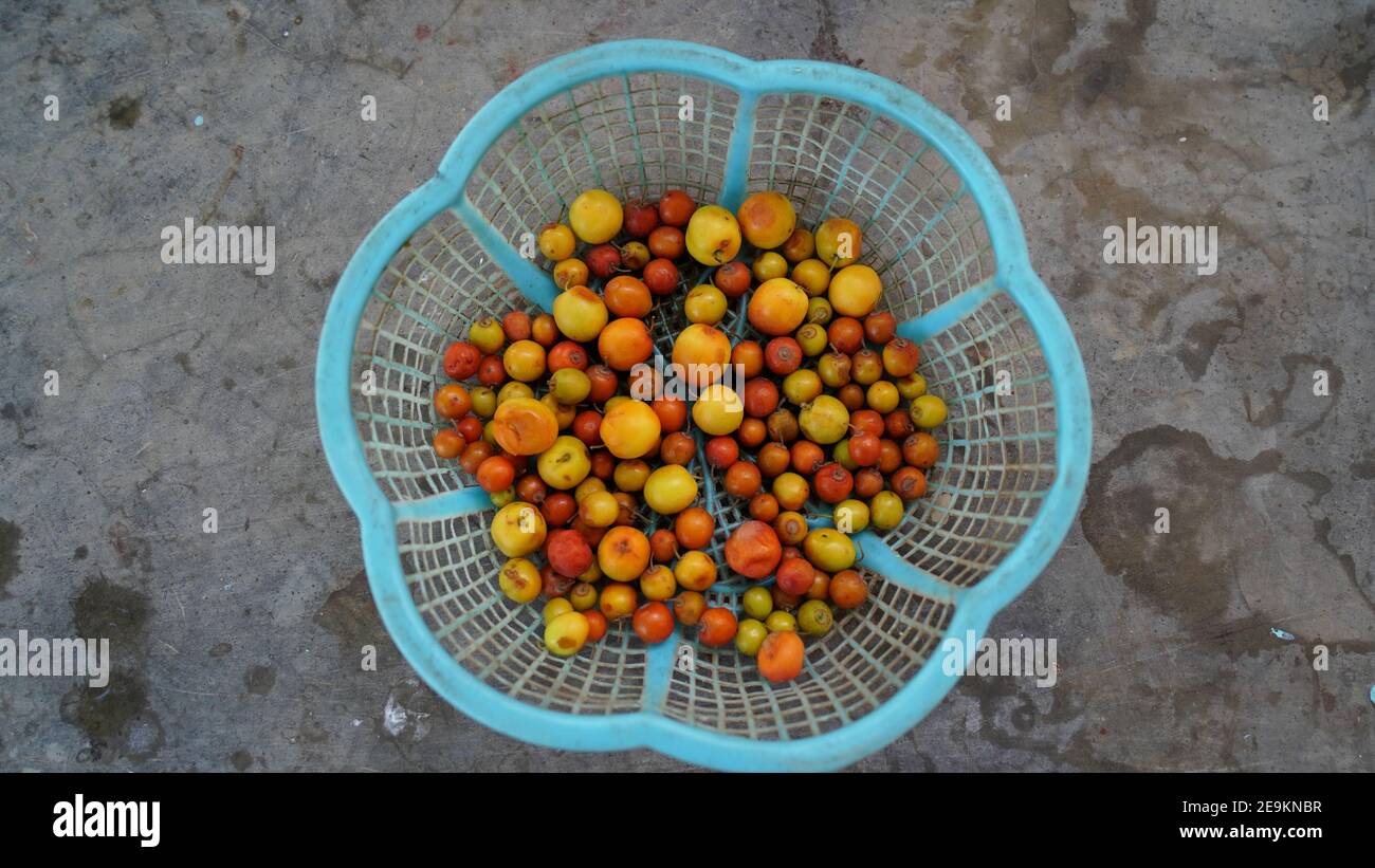 Jujbe indiano o Ber, frutta tropicale che tiene in cestino di plastica. BER conosciuto anche come il jujube indiano, la data cinese di susina indiana, la mela cinese e le dunks. Foto Stock