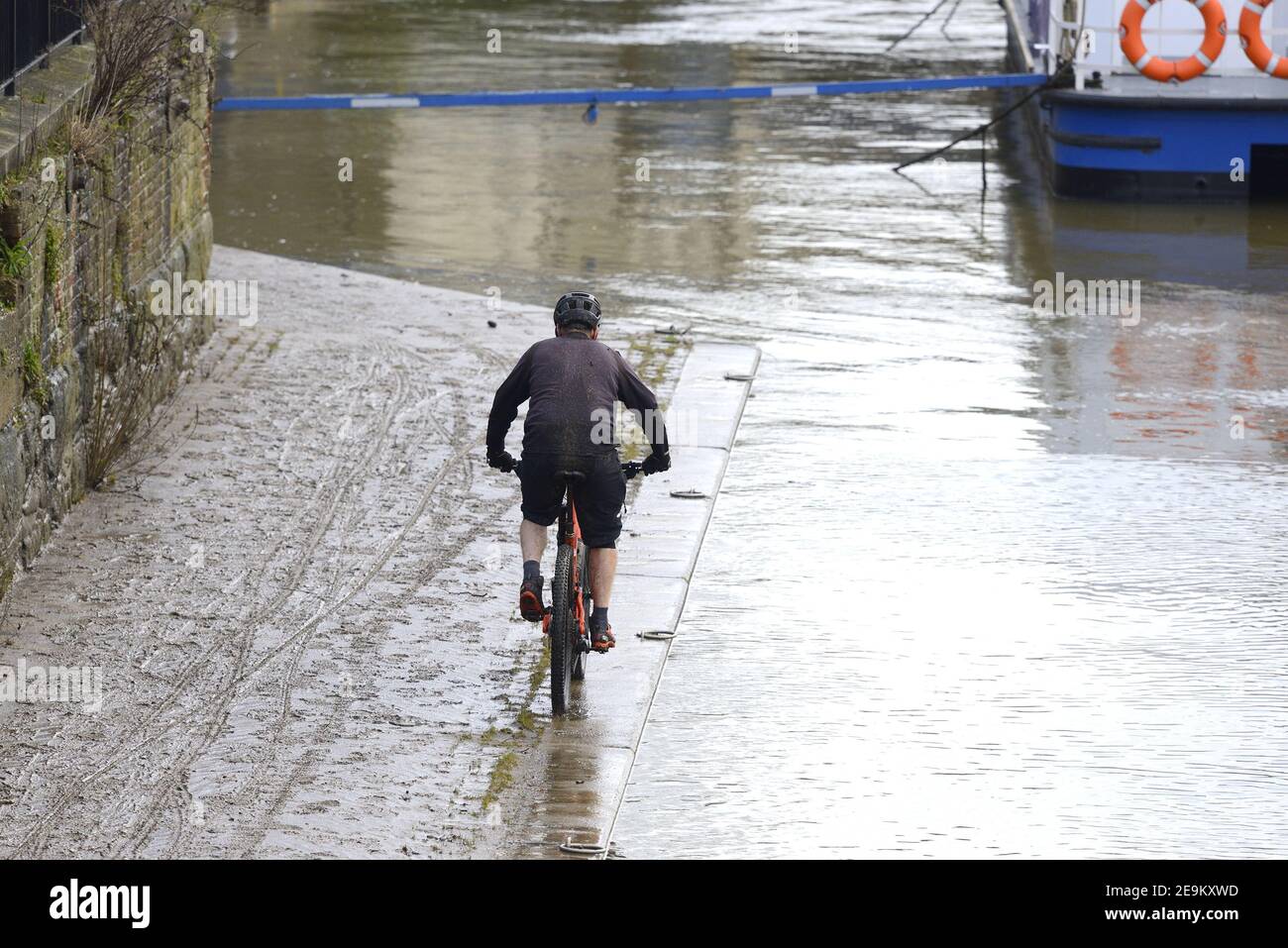 Maidstone, Kent, Regno Unito. Ciclista che costeggia il fiume Medway, su un sentiero coperto di fango dalle recenti inondazioni Foto Stock