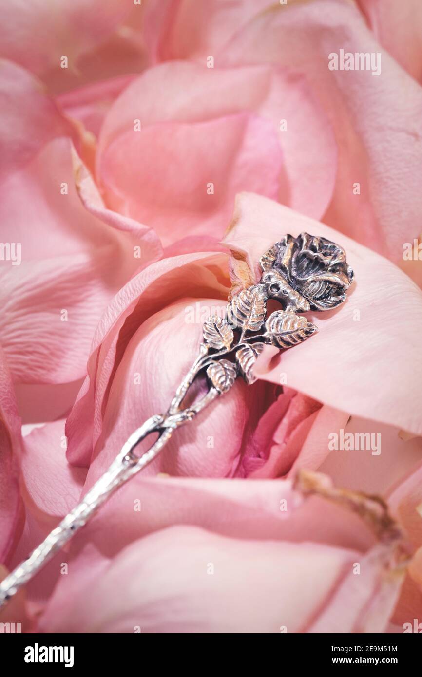 Cucchiaino di souvenir su sfondo di petali di rosa Foto Stock