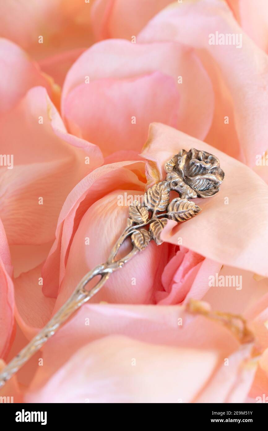 Cucchiaino di souvenir su sfondo di petali di rosa Foto Stock