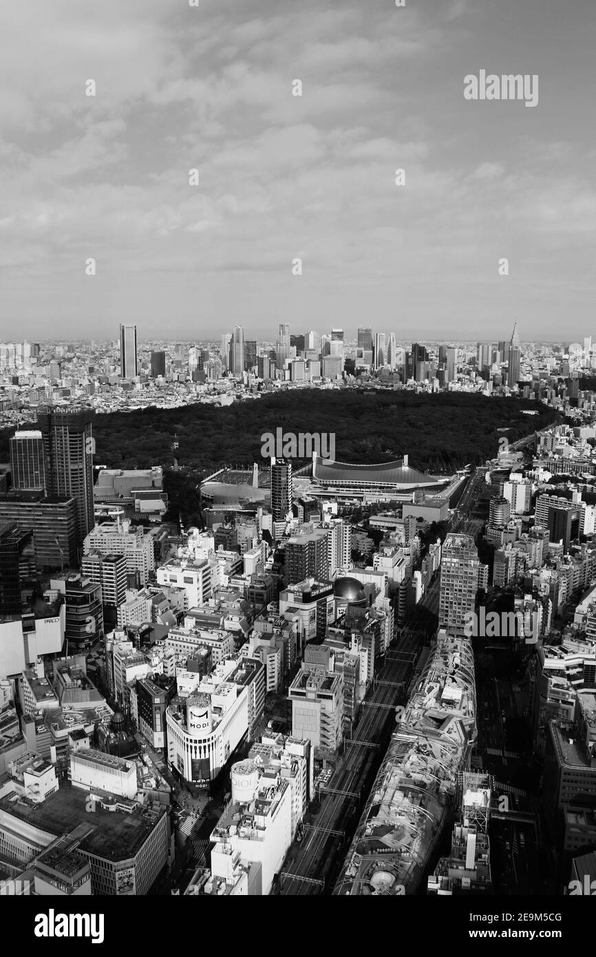 Vista sulla via Shibuya Foto Stock